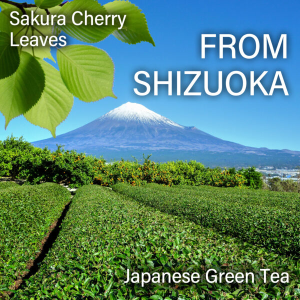 Sakura Matcha - Image 6
