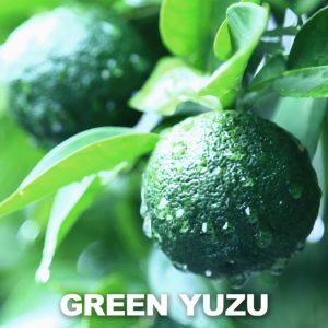 Yuzu Kosho -Full flavor of selected ingredients- 3.17 Ounce