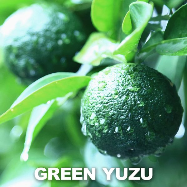 Yuzu Kosho -Full flavor of selected ingredients- 3.17 Ounce - Image 2