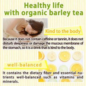 Organic Mugicha Barley Tea 8g×30bags
