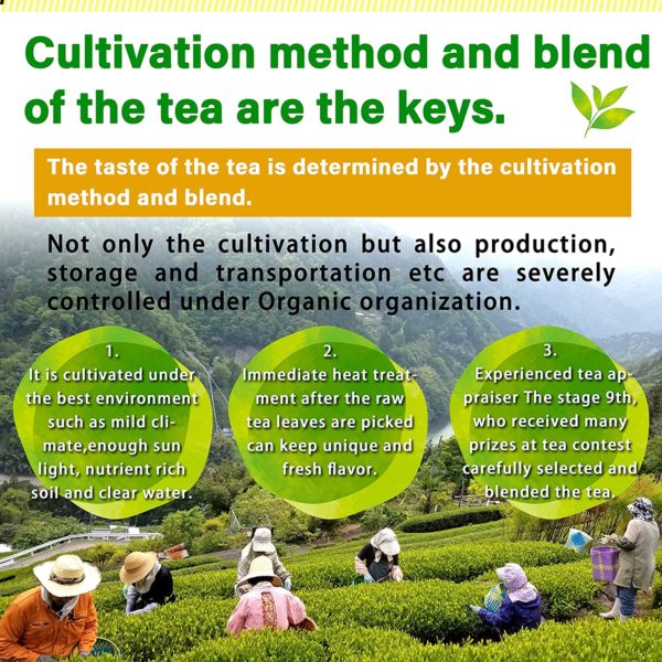 Organic Karigane Twig Loose Leaf Green Tea with Matcha - Image 5