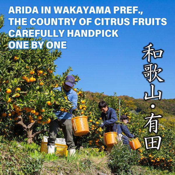 Yuzu Juice 100% Japanese Authentic - 3.52 Oz - Image 3