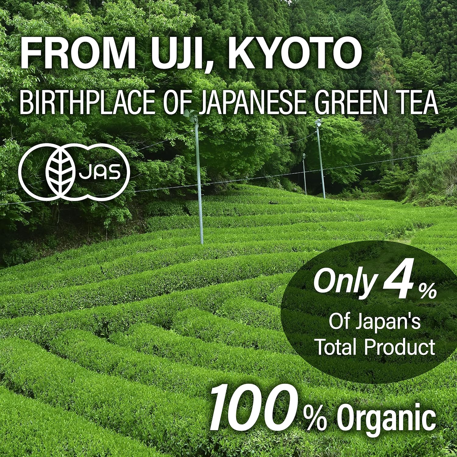 Organic Karigane Twig Loose Leaf Green Tea with Matcha