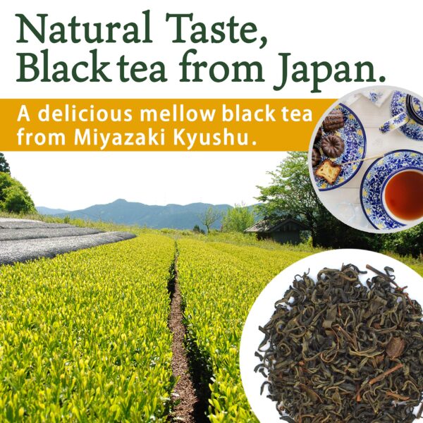 Organic Japanese Black Tea - Image 5