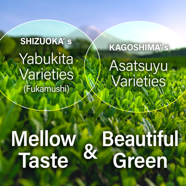 Sakura Sencha Green Tea - Image 3