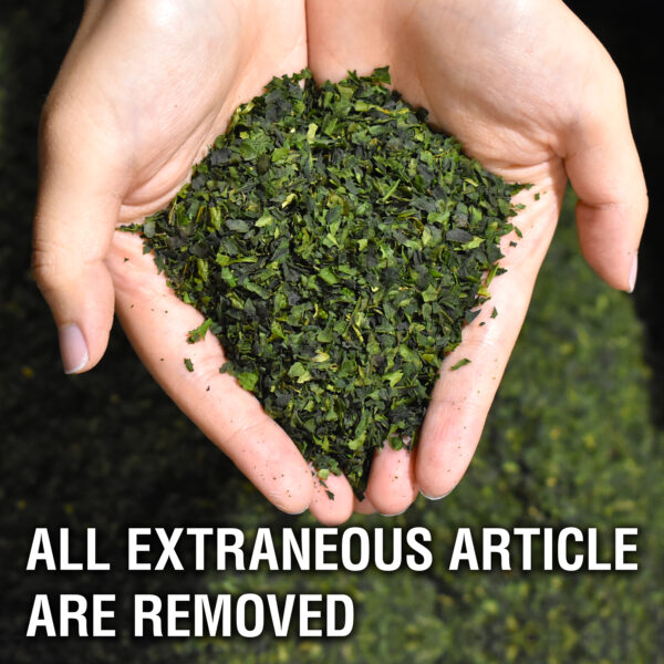 Organic Matcha Ceremonial Grade - BI - (30g) - Image 4