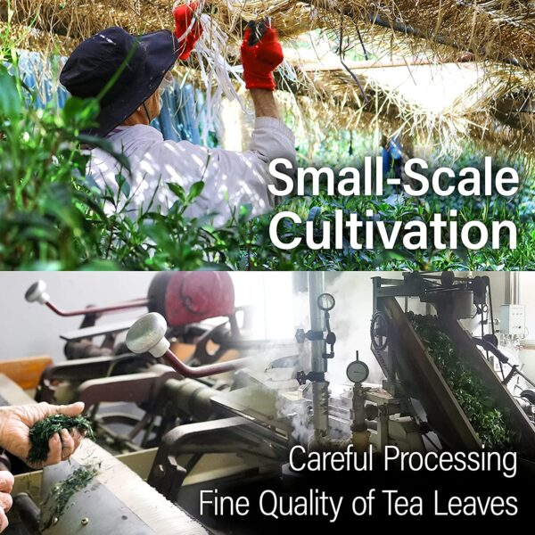 Yamasan Tea Subscription - Image 4
