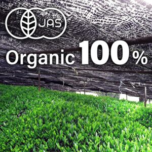 Organic Green Tea Gyokuro Japanese Shade Grown Loose Leaf Tea