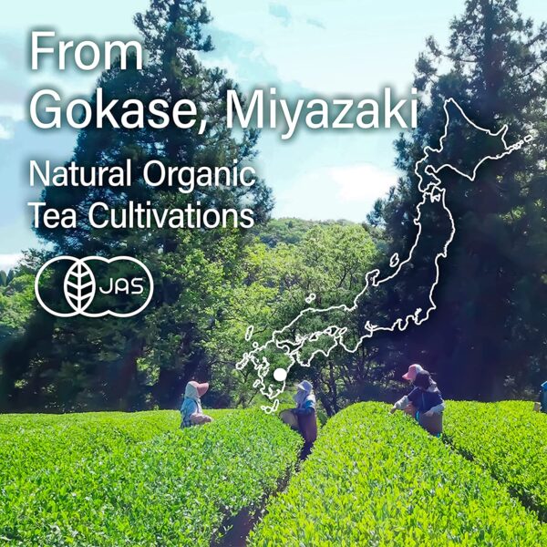 Japanese Organic Yuzu Green Tea Tea Bags (3gx15bags) - Image 6
