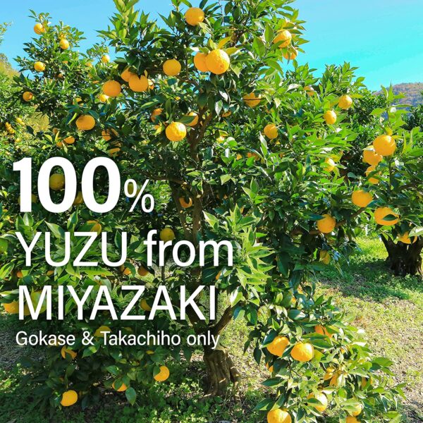 Japanese Organic Yuzu Green Tea Tea Bags (3gx15bags) - Image 5