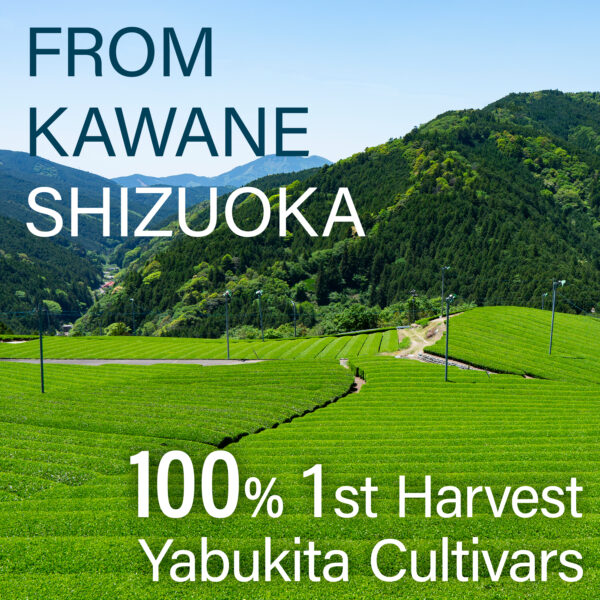 Yuzu Matcha - Image 3
