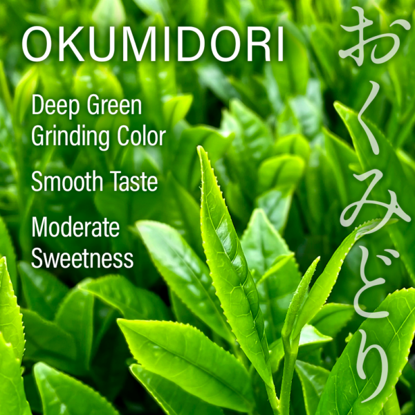 Single Origin Uji Matcha OKUMIDORI 1.0 - Image 3