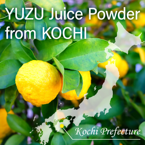 Yuzu Matcha - Image 4