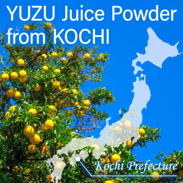 Yuzu Matcha - Image 5