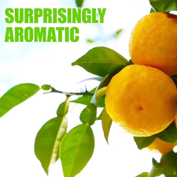 Japanese Yuzu Juice Vinegar - Image 3