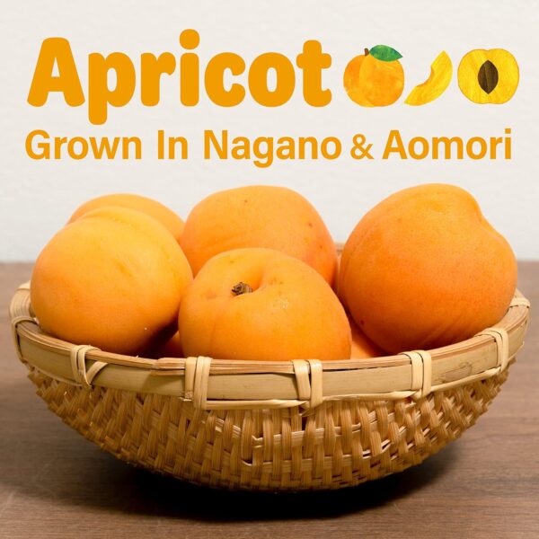 Japanese Apricot  Jelly Fruit Mochi Candy - Image 3