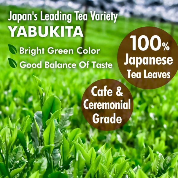 Japanese Matcha Green Tea Powder Chocolate Flavor - Image 5