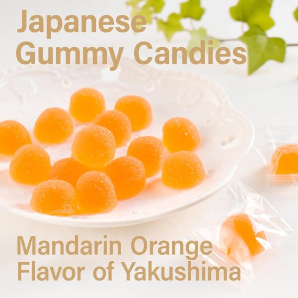 Japanese Gummy Candy - Mandarin Orange Flavor - Image 3