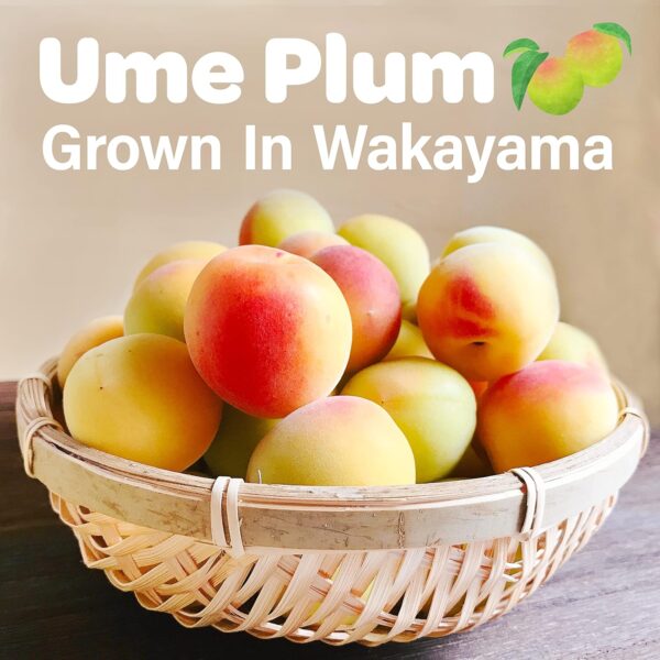 Jelly Fruit Mochi Candy Japanese Ume Plum - Image 4