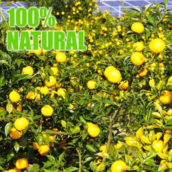 Japanese Yuzu Juice Vinegar - Image 6