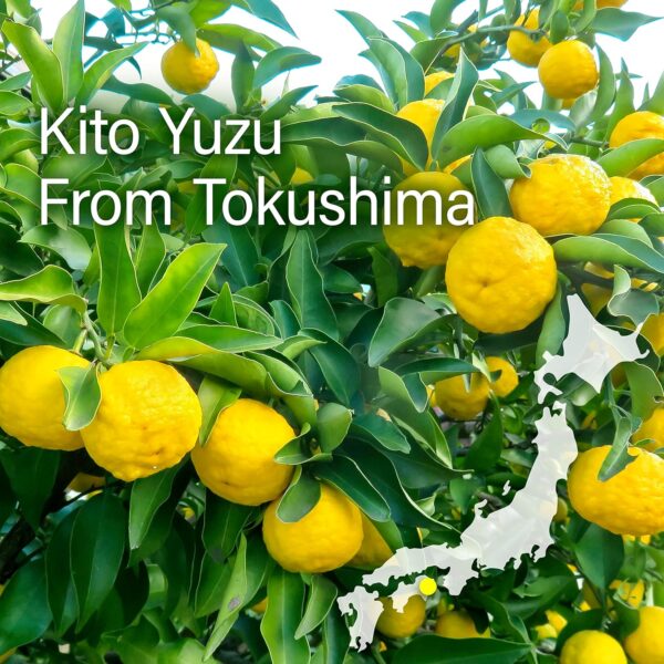 Yuzu Mochi Candy - Image 3