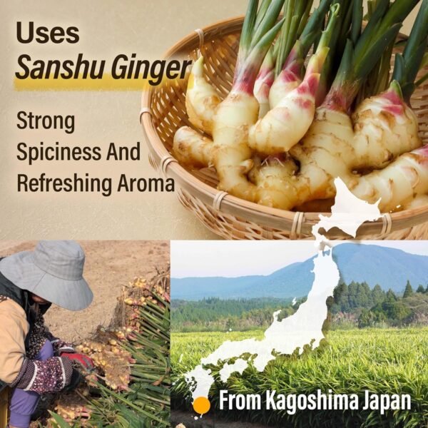 Japanese Gummy Candy Ginger Flavor - Image 4