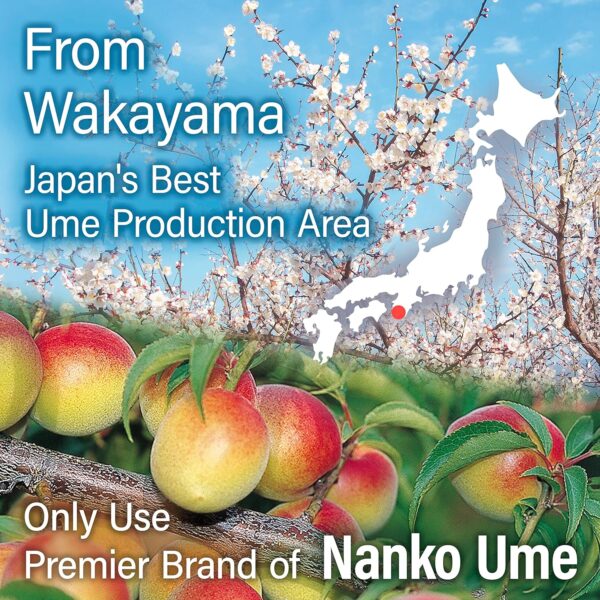 Umeboshi - Japanese Pickled Plums Paste - Image 5
