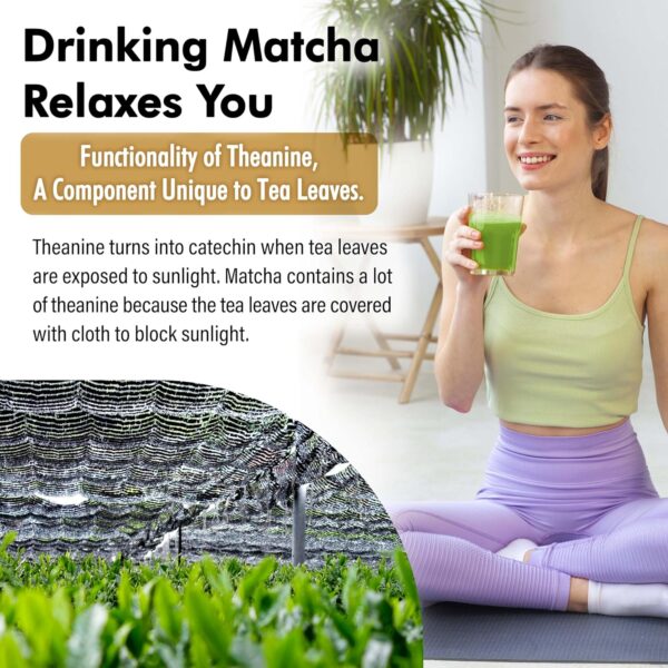 Japanese Matcha Green Tea Powder Vanilla Flavor - Image 5