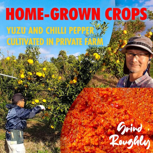 Yuzu Kosho Red Pepper Spicy Paste - Image 5