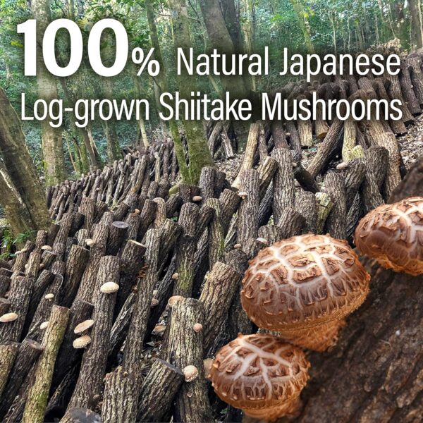 Japanese Shiitake Mushroom Umami Powder - Image 4